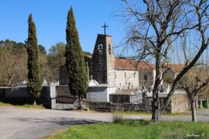 Iglesia de Santa Mar&iacute;a De Mes&oacute;n de Calvos
