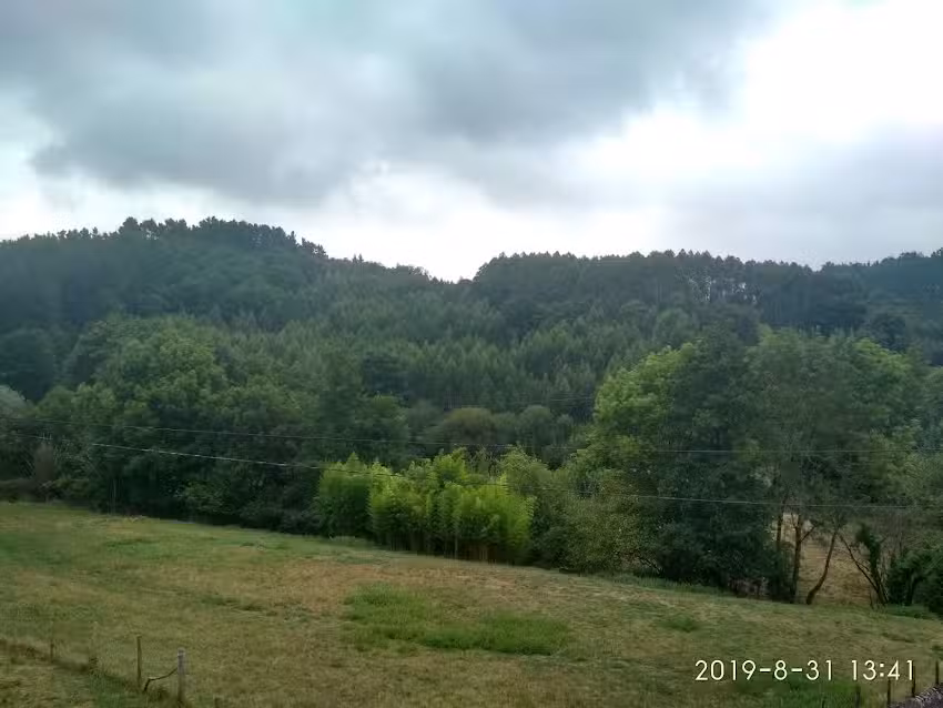 Iglesia De Santa Maria De Translavi&ntilde;a