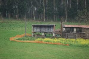 Iglesia de Santa Mari&ntilde;a de Gafoi