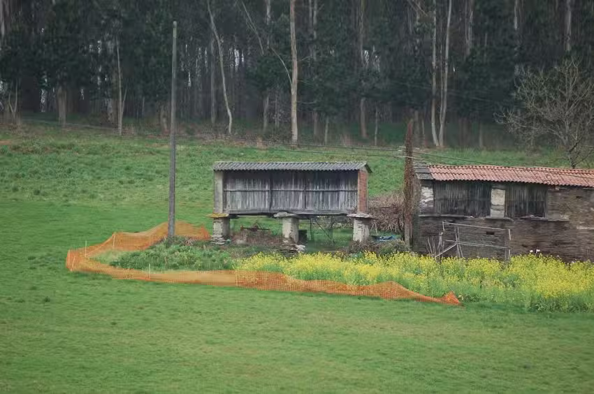 Iglesia de Santa Mari&ntilde;a de Gafoi