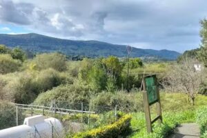 Iglesia de Santiago Apóstol