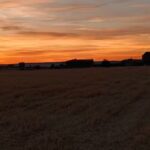 Iglesia de Santo Domingo de Silos