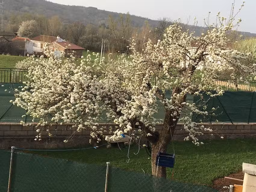 Iglesia de Solana de Fenar