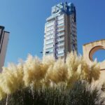 Iglesia Evang&eacute;lica Bautista