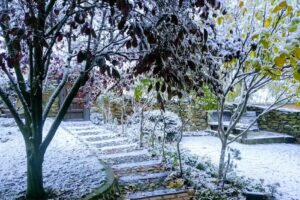Iglesia: Parroquia de San Miguel Arcangel