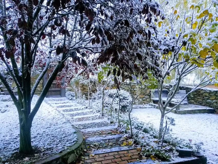 Iglesia: Parroquia de San Miguel Arcangel