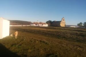 Iglesia Parroquial de Nuestra Se&ntilde;ora de La Asunci&oacute;n