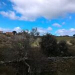 Iglesia Parroquial de San Blas