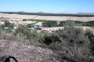 Iglesia Parroquial de Santa Mar&iacute;a la Mayor
