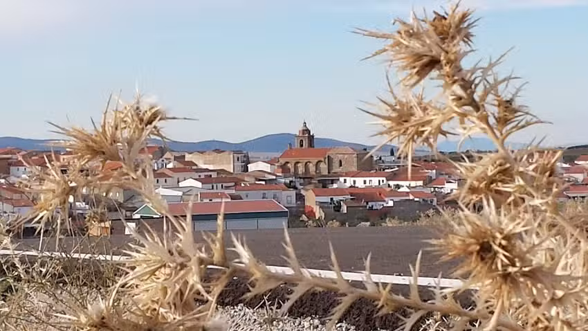 Iglesia Parroquial Nuestra Se&ntilde;ora de la Asunci&oacute;n