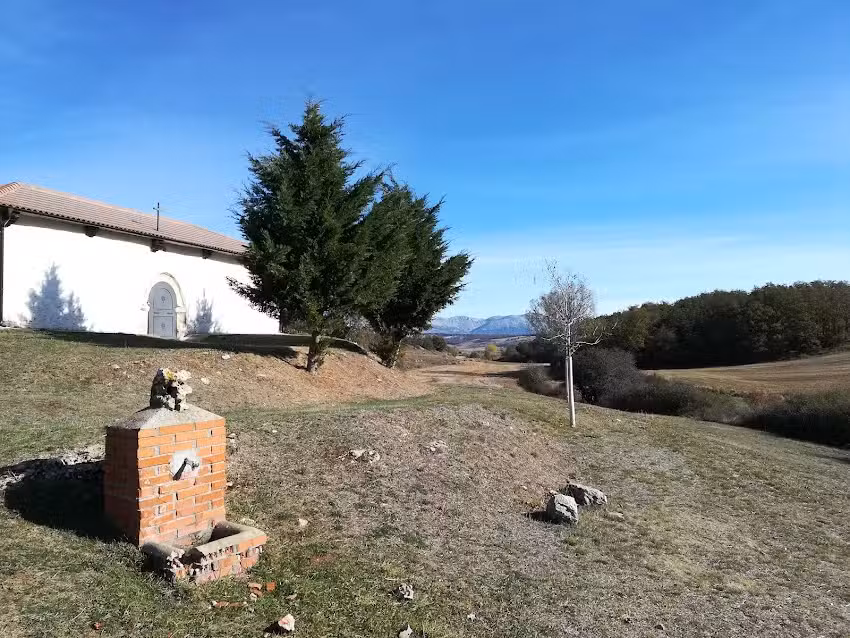 iglesia san pedro