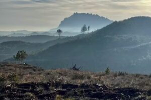 Iglesia vieja de San Andreu de Maians. Ruinas