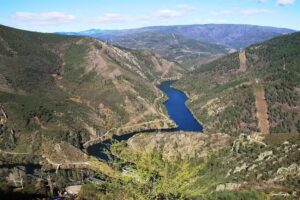 Igrexa de San Miguel de Navea