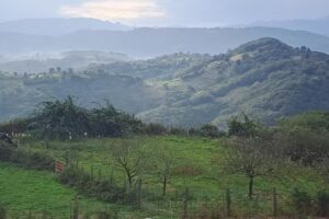 La Pasera de Nore&ntilde;a