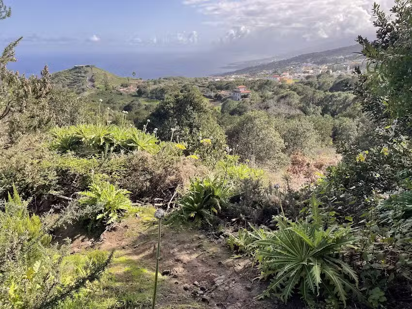 Nuestra Se&ntilde;ora de la Caridad del Cobre