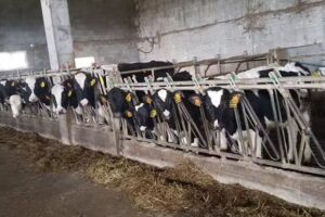 Parroquia cat&oacute;lica San Esteban