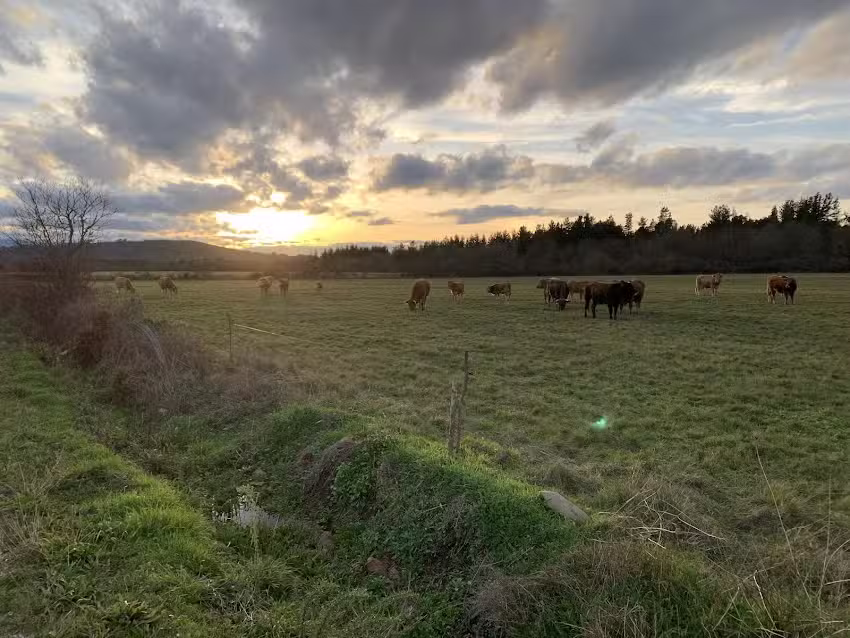 Parroquia cat&oacute;lica Santa Marti&ntilde;a