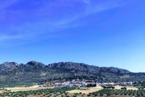 Parroquia Coraz&oacute;n de Jes&uacute;s