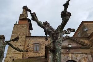 Parroquia de La Asunci&oacute;n de Est&eacute;banez de la Calzada