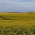 Parroquia de la Resurrecci&oacute;n