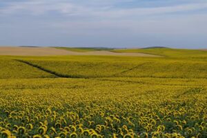Parroquia de la Resurrecci&oacute;n