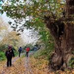 Parroquia de Nuestra Se&ntilde;ora de la Concepci&oacute;n