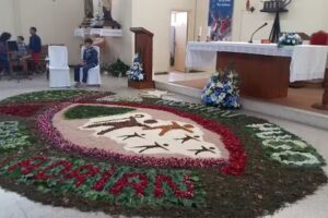 Parroquia De San Fernando De Feans