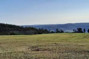 Parroquia de San Mamede da Pena (Negreira)