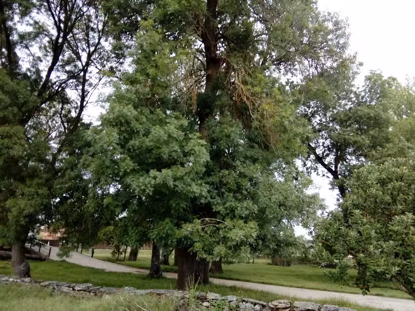 Parroquia de San Mam&eacute;s