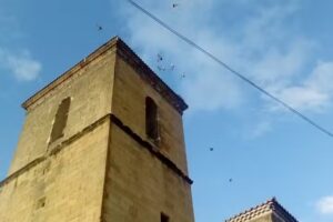 Parroquia De San Pedro