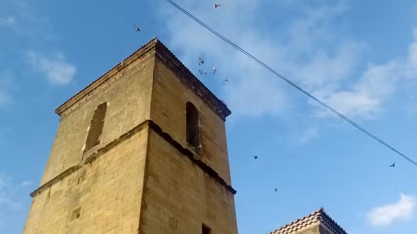 Parroquia De San Pedro