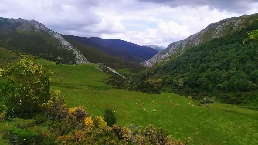 Parroquia de San Vicente de Piedrafita de la Mediana