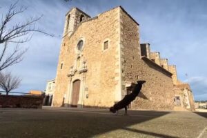 Parroquia de Santa Eugenia de Villa-romana (San Juan de Palam&oacute;s)
