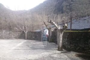 Parroquia de Santa Eulalia de Cuevas del Sil