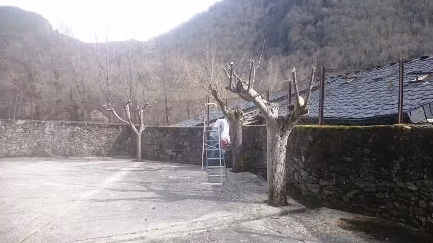 Parroquia de Santa Eulalia de Cuevas del Sil