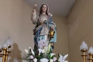 Parroquia de Santa Marta Pu&ccedil;ol