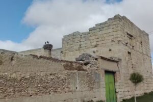 Reverendas Madres Carmelitas