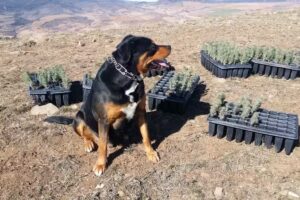 Reverendas Madres Clarisas