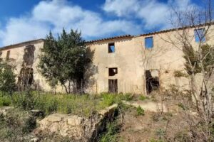 San Benito del Bosque