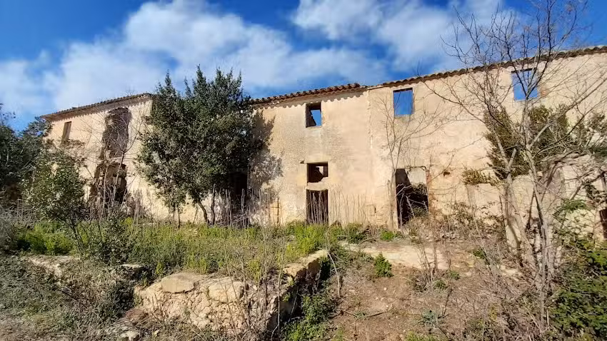 San Benito del Bosque