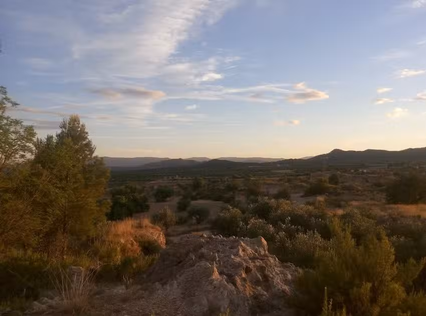San Roque