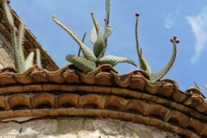 Sant Jaume d&rsquo;Olzinelles