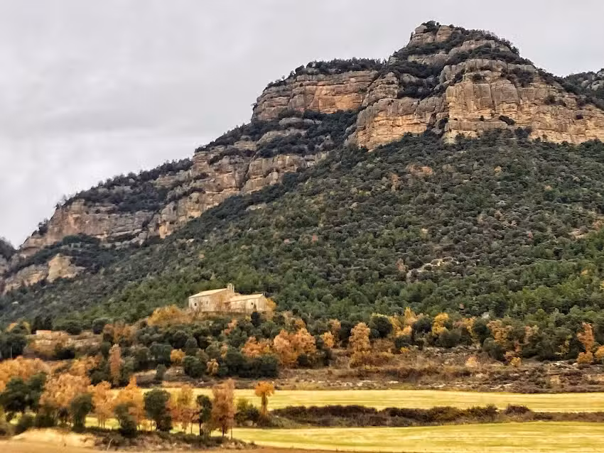 Sant Sadurn&iacute; del Cint