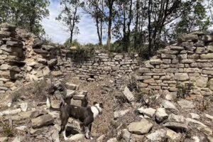 Santa Eugènia de Governa