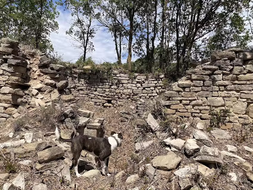 Santa Eug&egrave;nia de Governa