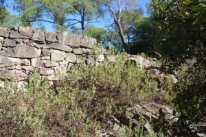 Santa Maria de la Creu