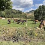 Santo Tom&aacute;s Ap&oacute;stol