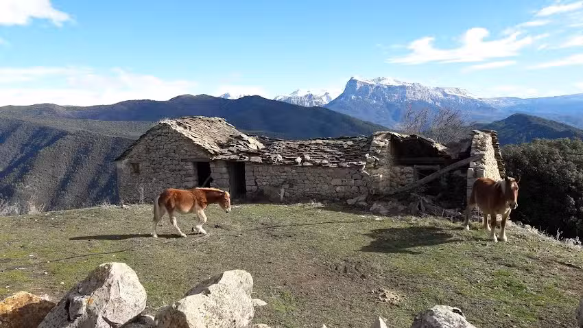 Silves Bajo. Santa Eulalia.