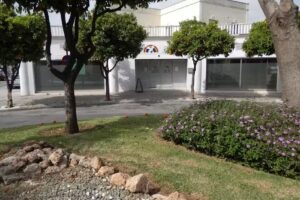 The Ark Christian Church